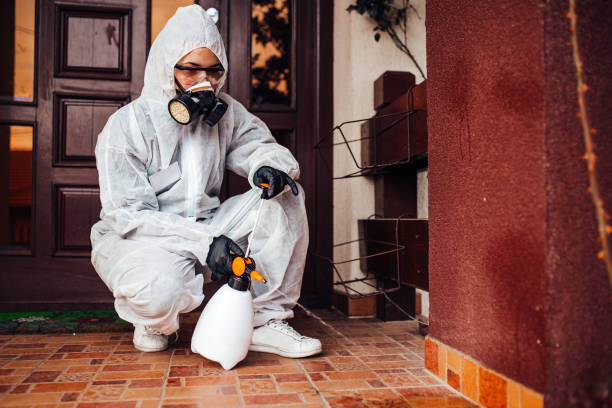 Reliable Ant Control contractor in Hazlehurst, GA by Nex Pest Control