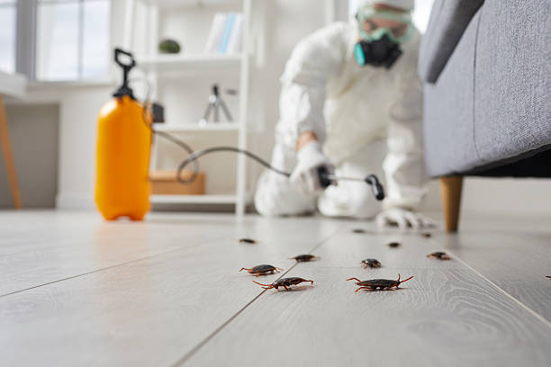 Trusted Fumigation Services service in Hazlehurst, GA - Nex Pest Control