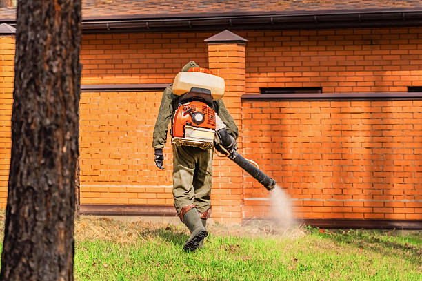 Trusted Termite Control service in Hazlehurst, GA - Nex Pest Control